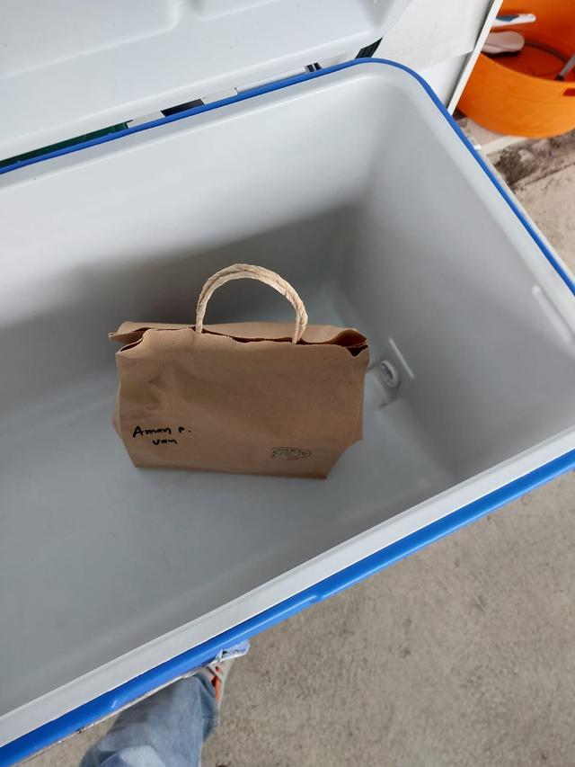 Delivery 3